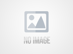 黄芪对男性性功能有什么好？